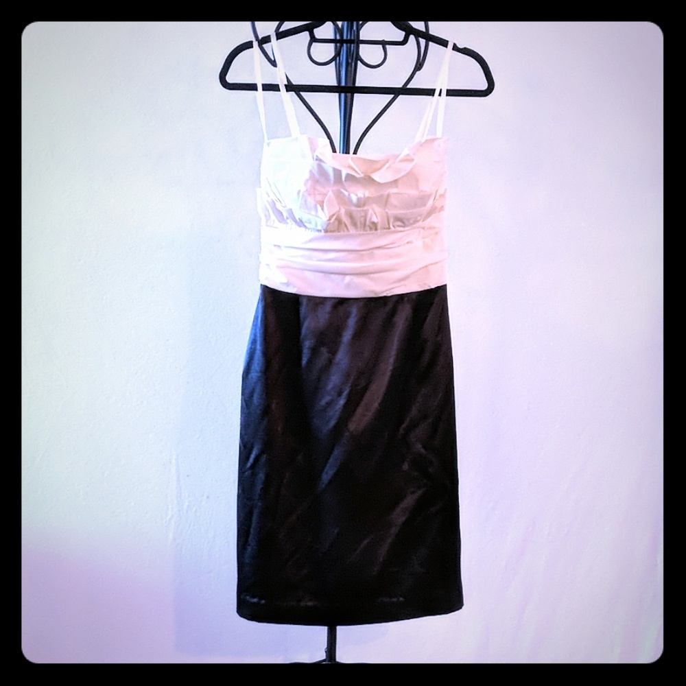 Max & Cleo Black & Cream Cocktail Dress